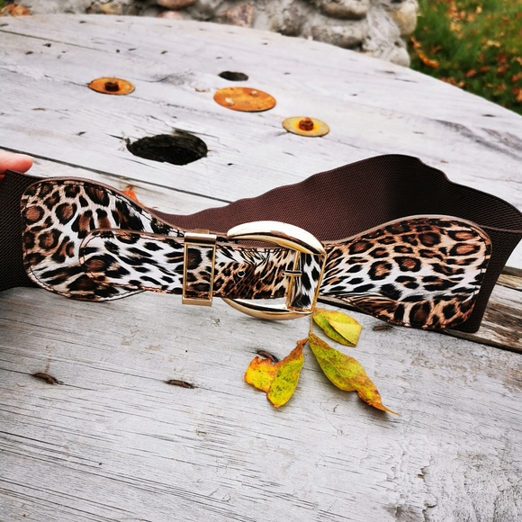 Ardene Spain Faux Leather Leopard Print Brown Stretch Gold Buckle Belt - Picture 6 of 16